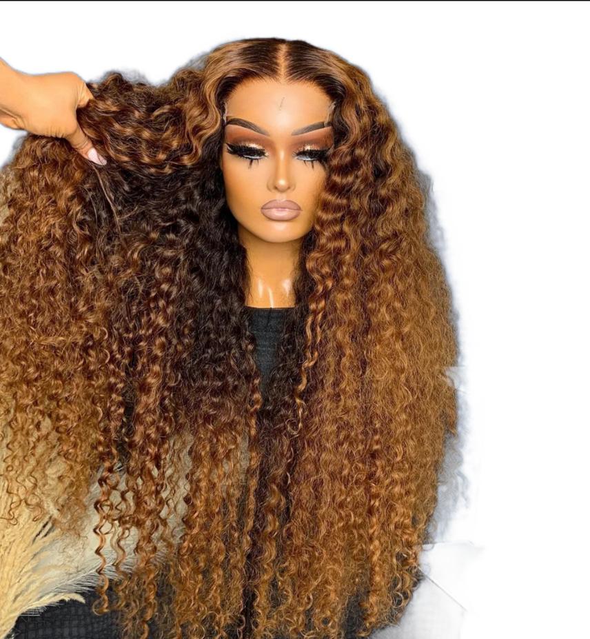 Cham’s Curly HD Lace Front Wig – Soft Natural Curls | 100% Human Hair